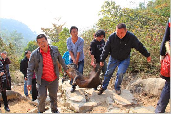 寻找都市猎王 九皇山千元狩猎大奖等你来拿