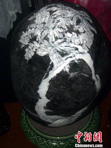 四川宜宾市民收藏一奇石 石头上菊花开(图)_热