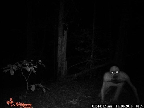 美国男子半夜打猎 称发现<em>无毛</em>僵尸(图)_网_腾