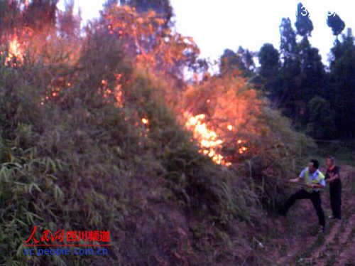 宜宾:焚烧秸秆引发山火 高速交警客串消防员