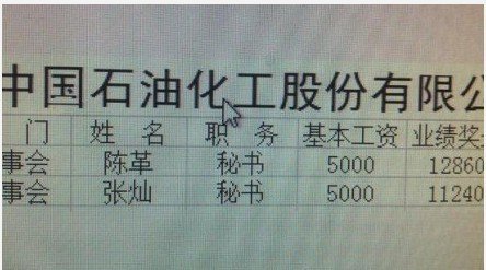 网曝疑似中石化秘书工资条 月薪近3万