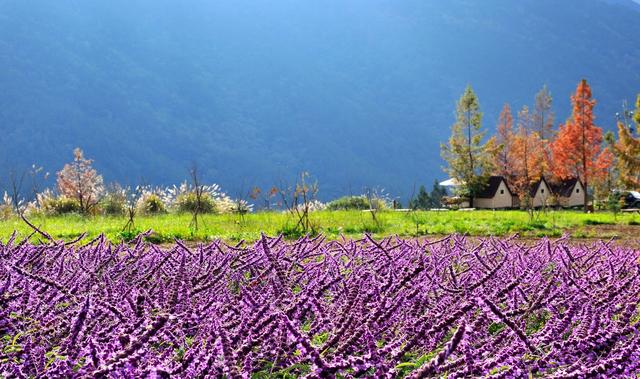 腾讯推荐2018四川三十大春游目的地项目正式