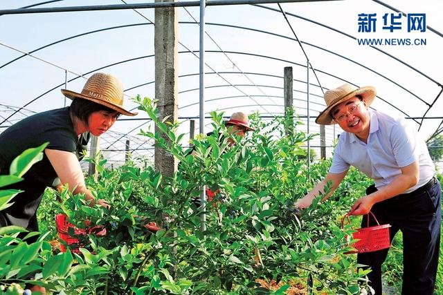 农商文旅融合发展 双流区永安镇走出乡村振兴