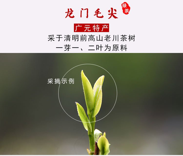 茶汤的味道十分的鲜浓甘爽独特,冲泡出来的茶汤颜色碧绿,茶叶舒张开来
