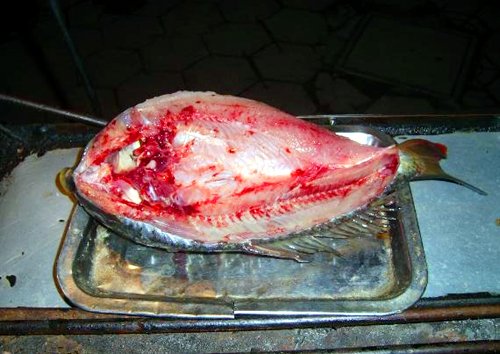 泸州特色美食推荐：闹市中的合江烤鱼_大成网_腾讯网