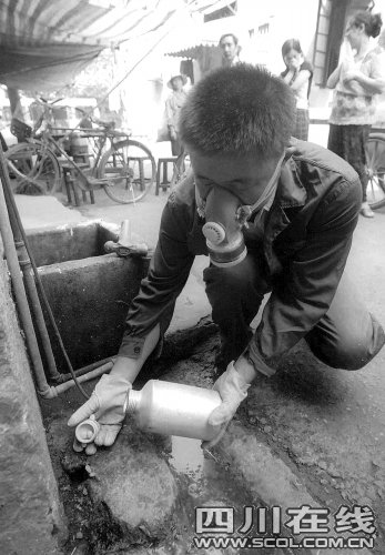 灭鼠除虫市场惊人 成都黑猫瓜分亿元蛋糕_新