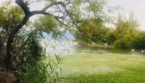 四川1252个自然保护区环境问题 已整改完成9