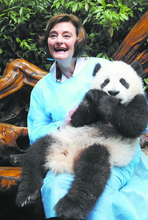 英国前首相夫人造访大熊猫基地和地震灾区