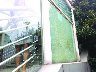 pse弩专卖_pse复合弩_pse+tac+15弩_图片大