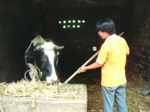 坚强<em>女孩</em>连吃几星期<em>馒头</em>省钱买书考出394分_