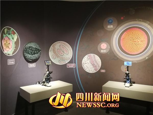 目前国内最大植物主题馆成都青少年植物科普馆