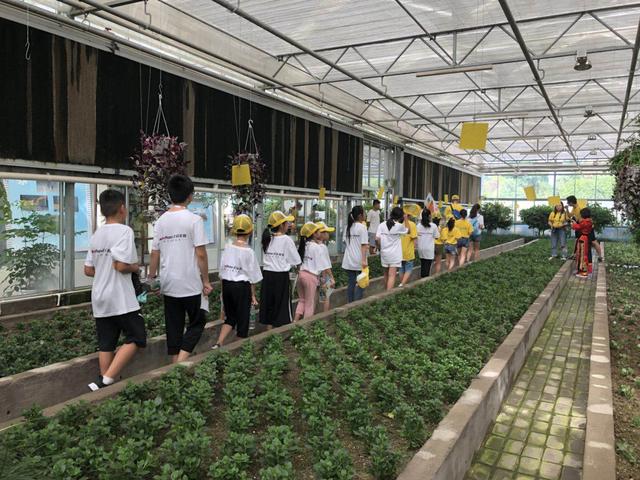 太阳星公益行动研学旅行夏令营--感受禹羌文