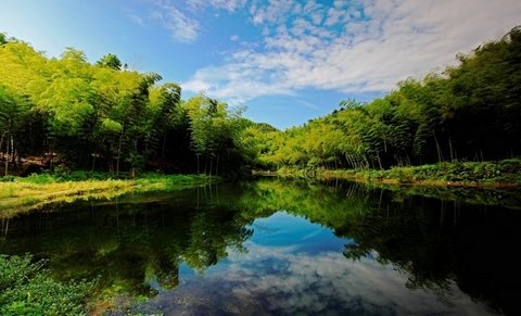 50元燃油补贴等你拿 自驾游蜀南竹海享优惠_网