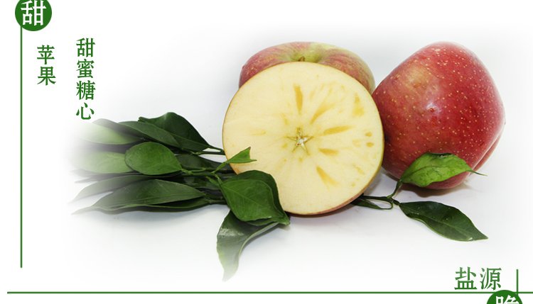 大凉山盐源糖心苹果 肉质细 松脆 汁液多 酸甜好美味