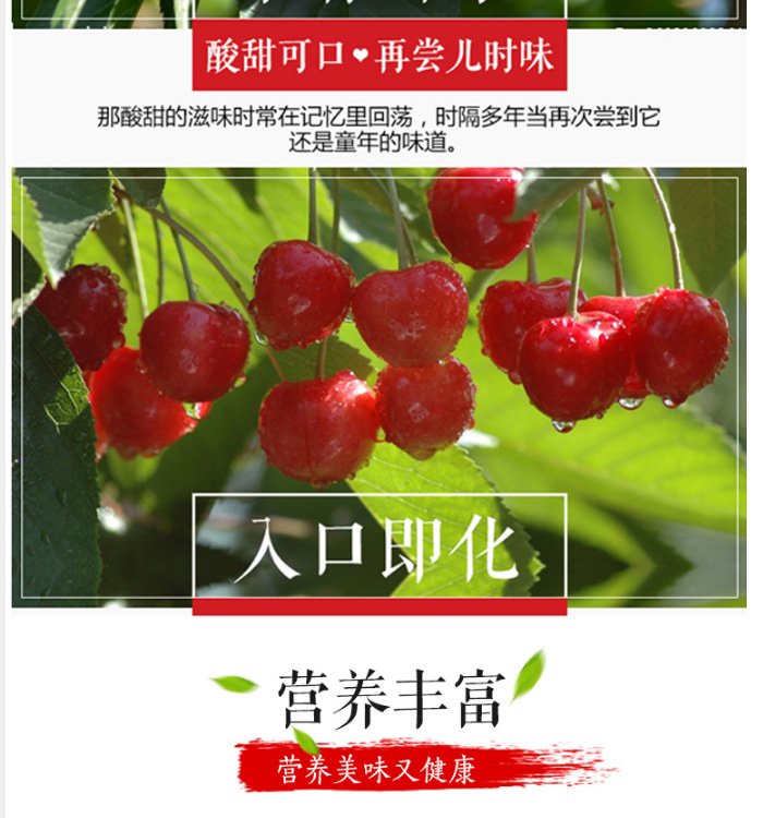 攀枝花米易小樱桃 2.5斤 果肉细嫩多汁