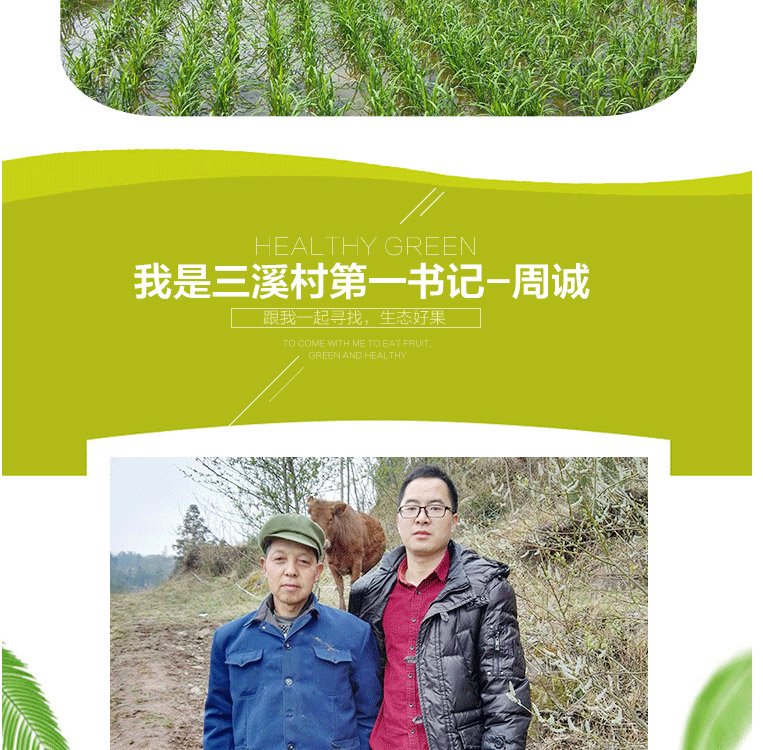 宣汉桃花米属于哪里的特产