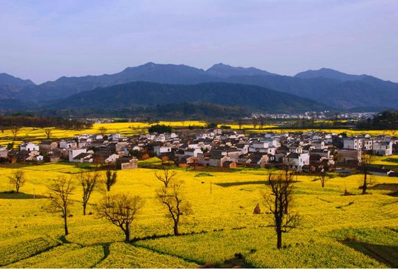 黄山黟县:徽黄旅游集团春季旅游 开门红正式打响