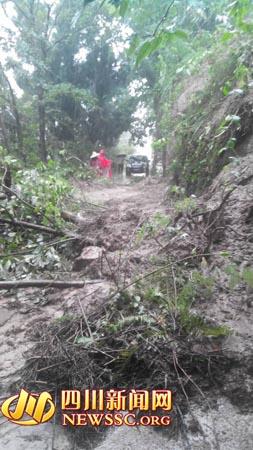 德阳局地降雨量296.1毫米 农作物受损达8000余