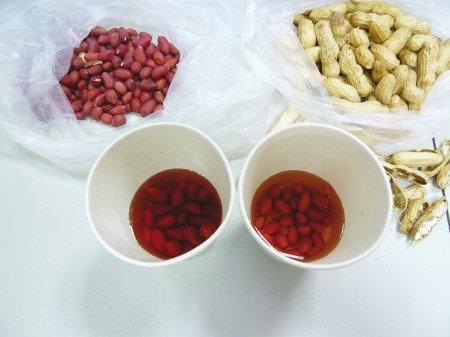 网曝花生泡水褪色疑染苏丹红 专家证实称正常