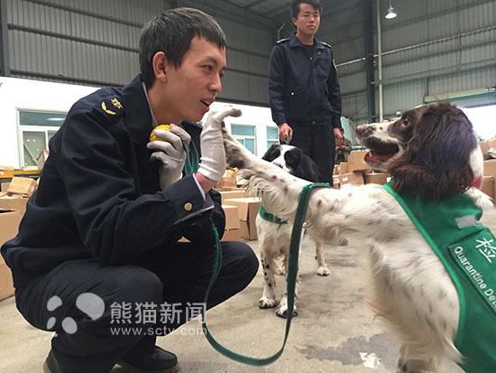 四川邮检口岸首次配备检疫犬 嗅觉灵敏减少漏