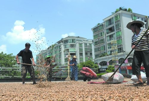 渠县有多少人口_渠县卷硐镇人口