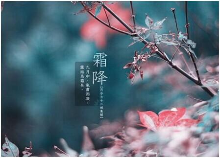 登录查看大图