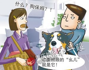 主人月薪千元给宠物狗招聘保姆 任务是带狗散