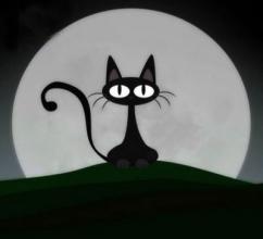 尽情熬夜吧:夜猫子智商更高