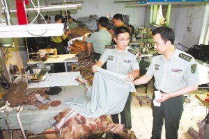 央视调查:假军服显形记 军服竟成企业工服和情色服装