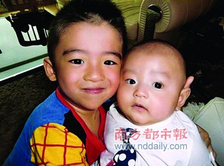 张柏芝二公子中文名谢振南 网友笑称似黑社会