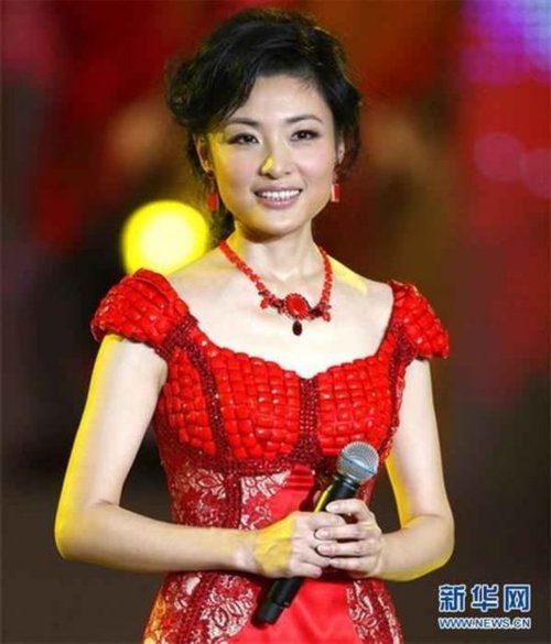 主持人收入排名_哪个主持人收入最多