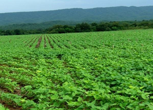 抚顺金粮:保护大伙房水源地 发掘有机农业商机