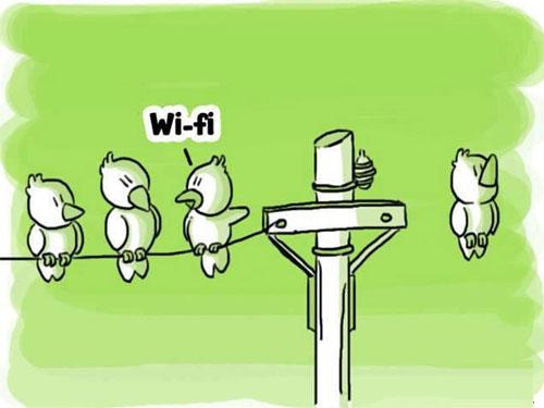 wifi共享工具横评 wifi共享精灵仍最好用