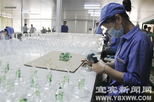 市人大常委会视察产业宜宾建设情况