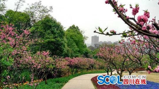 温州踏青游玩攻略,温州踏青游玩攻略大全
