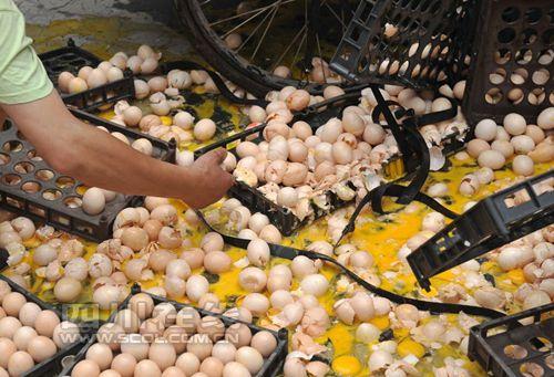 送蛋师傅车身一震打碎千余鸡蛋 蛋黄蛋清满地