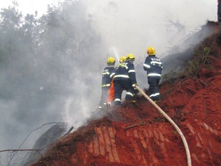 精神病人点火烧山 消防战士1小时后扑灭大火_