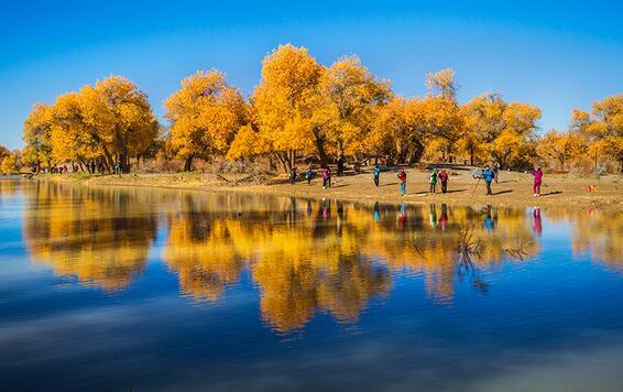 金秋去大西北看胡杨林 你可先飞到张掖再自驾