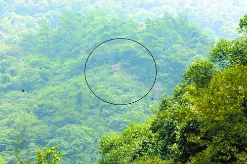 《富春山居图》作者黄公望墓疑藏身富阳山岙