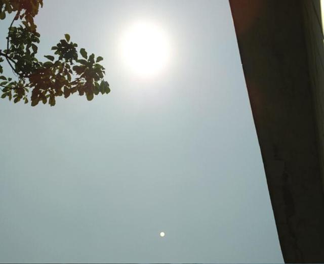 自贡市民称拍到UFO 气象专家:日晕现象(图)