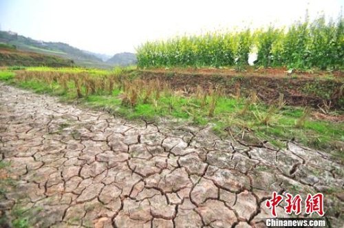 宜宾遭遇春旱 共造成8.64万人饮水困难(图)