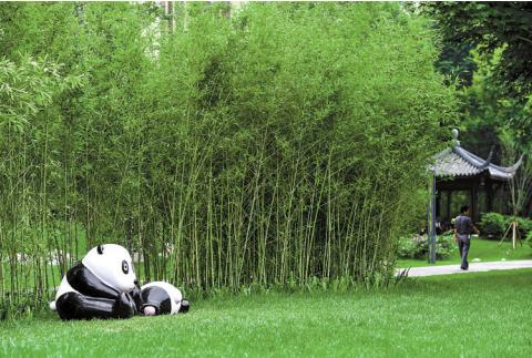 成都三环路熊猫绿道示范段亮相 最萌绿道赢公