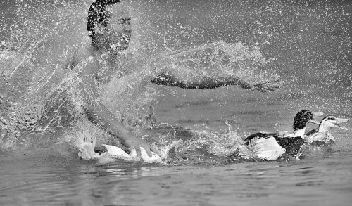 端午旅游撞上世界杯 成都各旅行社依旧爆满_旅