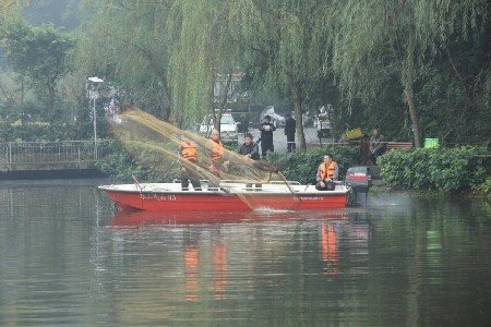 乐山大学生情侣 吵架   男子 一气之下跳池塘 溺亡 