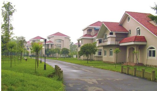 专家分析宋如华回国原因:在美国混不下去(图)