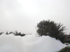 江苏一条河突现泡沫“雪山” 因大量洗涤剂冲入