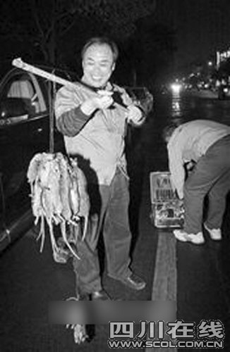 成都某办公室人鼠大战 老鼠受惊钻进裤腿_热