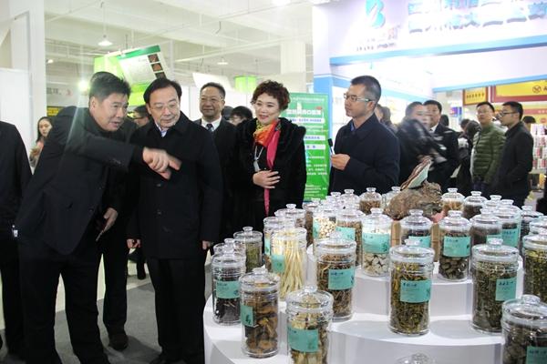 第十三届中国中医药博览会在蓉国际医药健康城