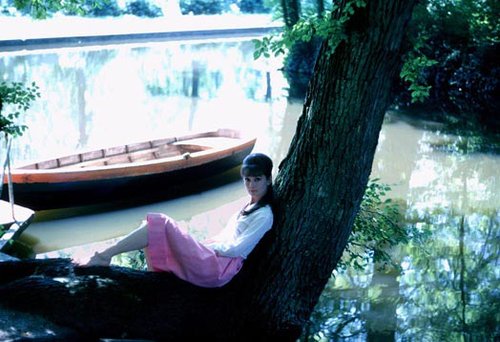 大师镜头下的<em>世界上最美丽的女人</em>_大成网_腾