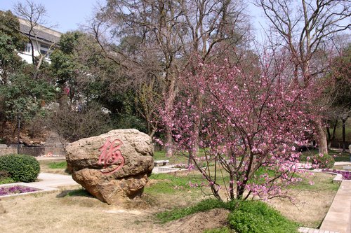 武汉大学毕业典礼:有料,有情,有期盼